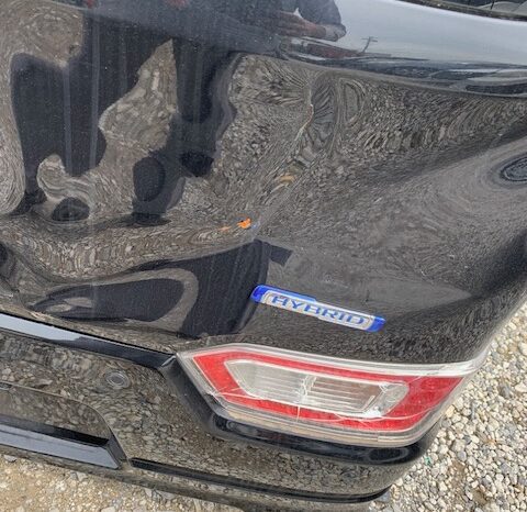 
								Mazda Flair full									