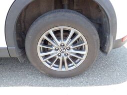
										MAZDA CX5 2019/5 XD full									