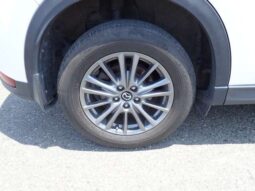 
										MAZDA CX5 2019/5 XD full									