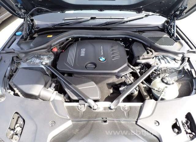 
								BMW 5 SERIES 2017/11 523D LUXURY full									