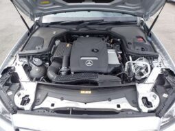 
										MERCEDES E CLASS 2018/7 E250 AVANTGARDE SPORT full									